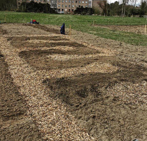 permaculture Design veggie garden pereniah