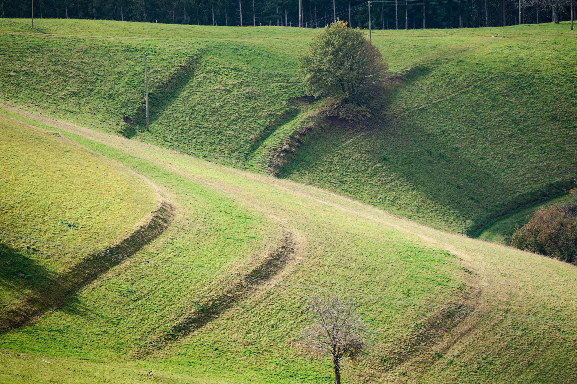 Een met gras begroeide heuvel met paden erdoorheen