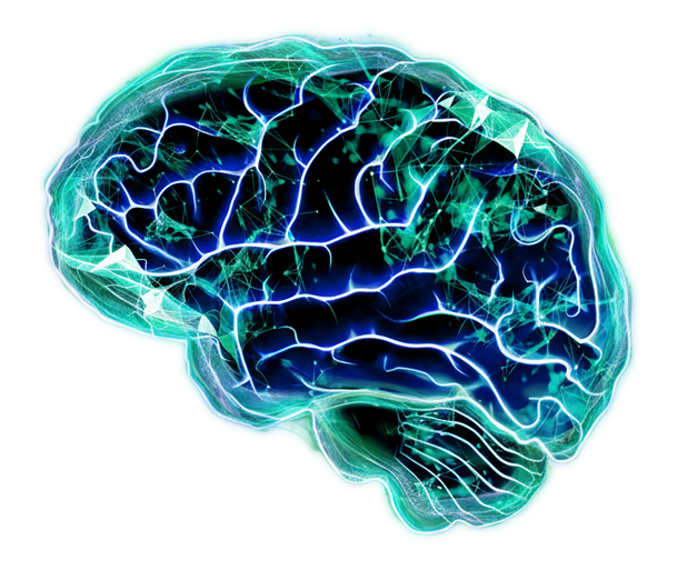 Quantum Biopharma - Brain image