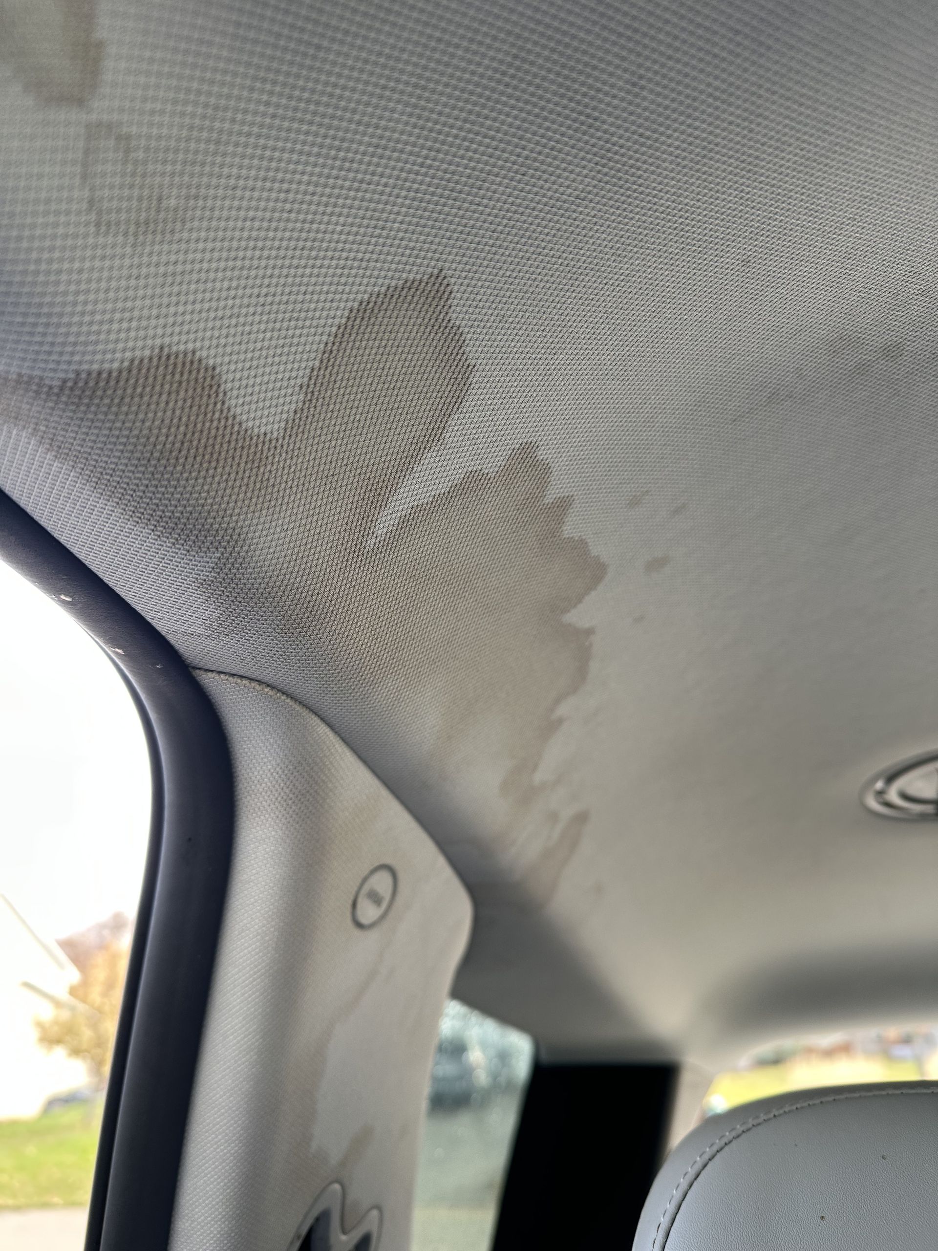 A large, dark water stain spreading across the light gray fabric of a vehicle's ceiling near the passenger side door pillar.