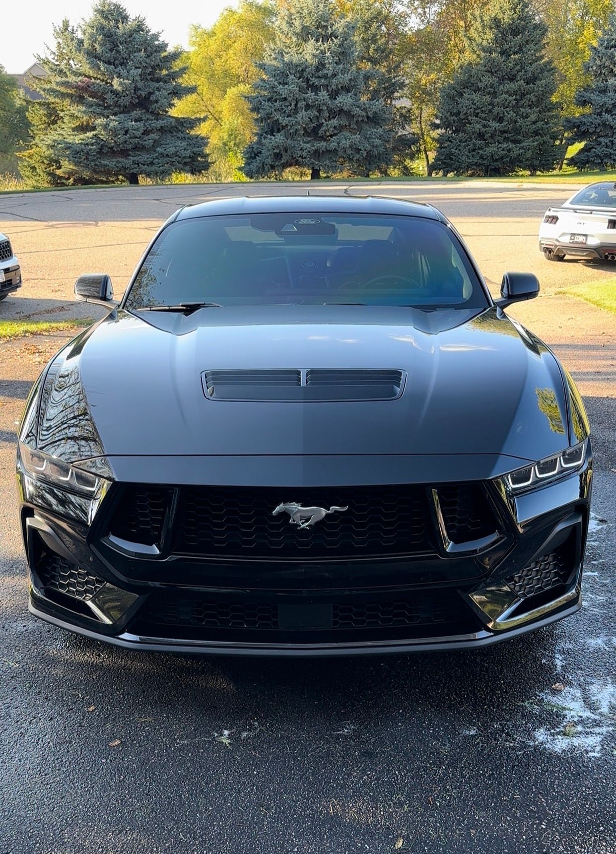 A black Ford Mustang parked outdoors, viewed from the front with the iconic pony emblem centered on the grille.