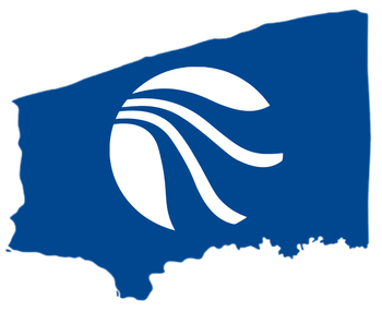 Blue flag with a white abstract wing or bird-like logo.