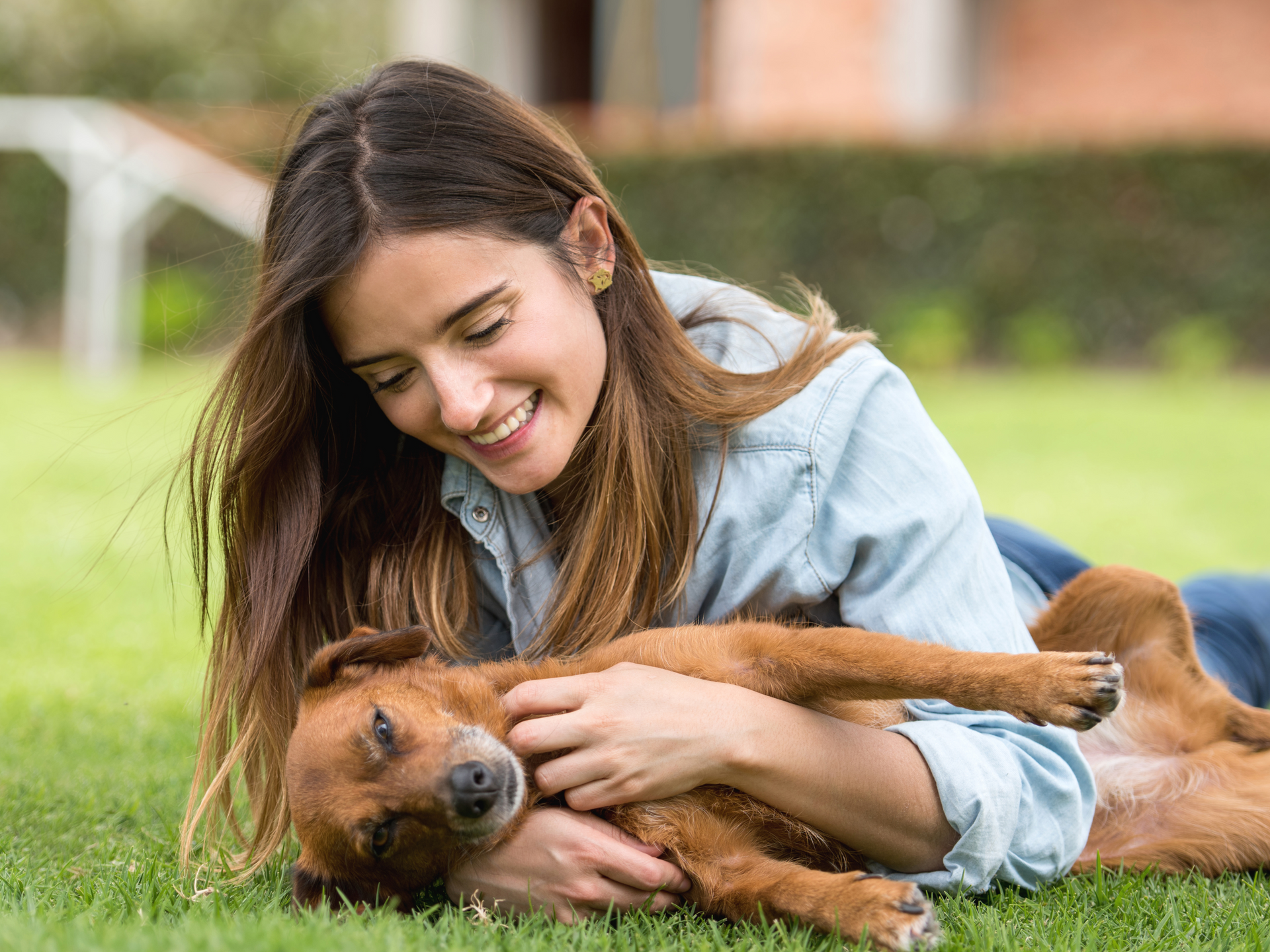 A woman is laying on the grass petting a brown dog.