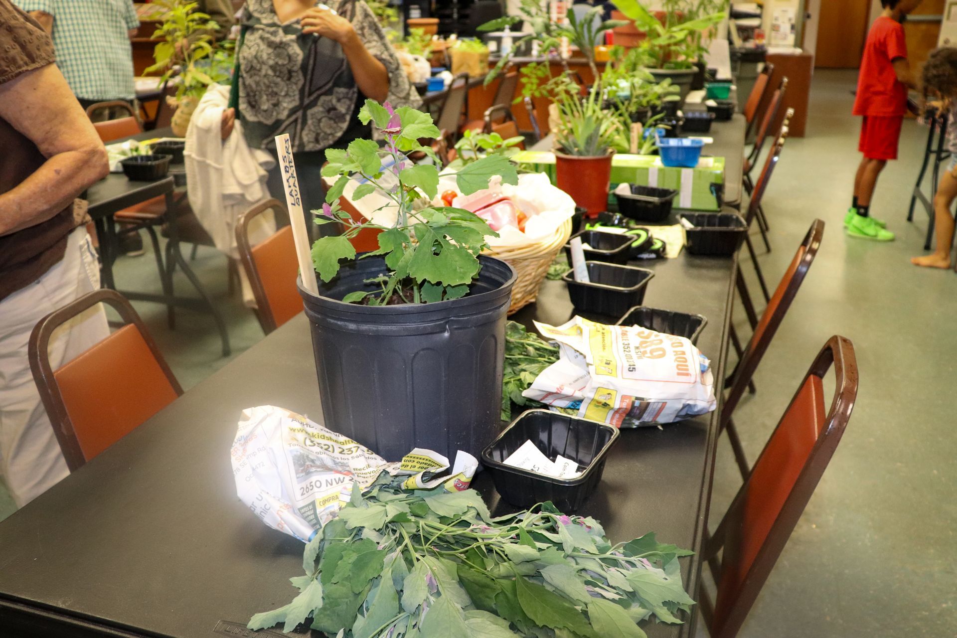 A table with lots of potted plants on it