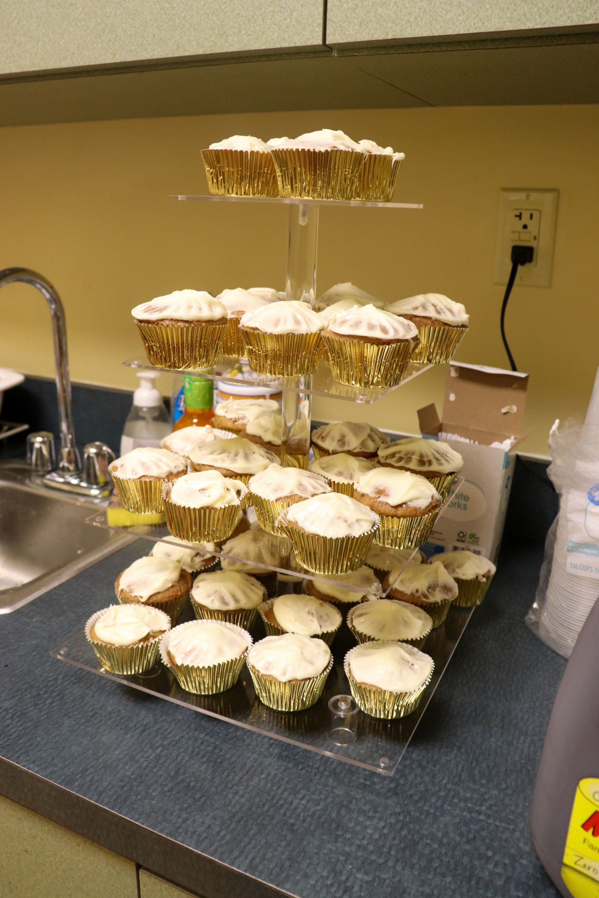 A bunch of cupcakes are sitting on a tray on a counter