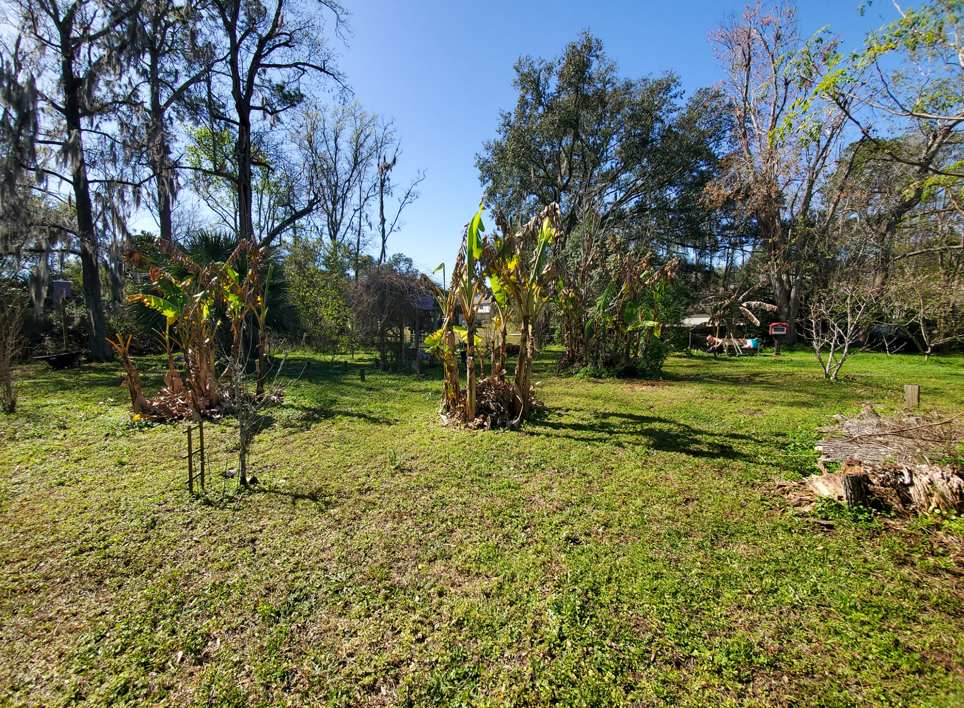 A large grassy field with trees in the background on a sunny day.