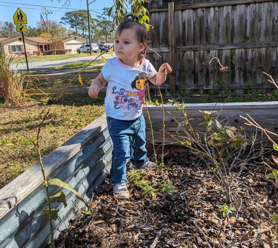 A little girl in a dora the explorer shirt is standing in a garden.