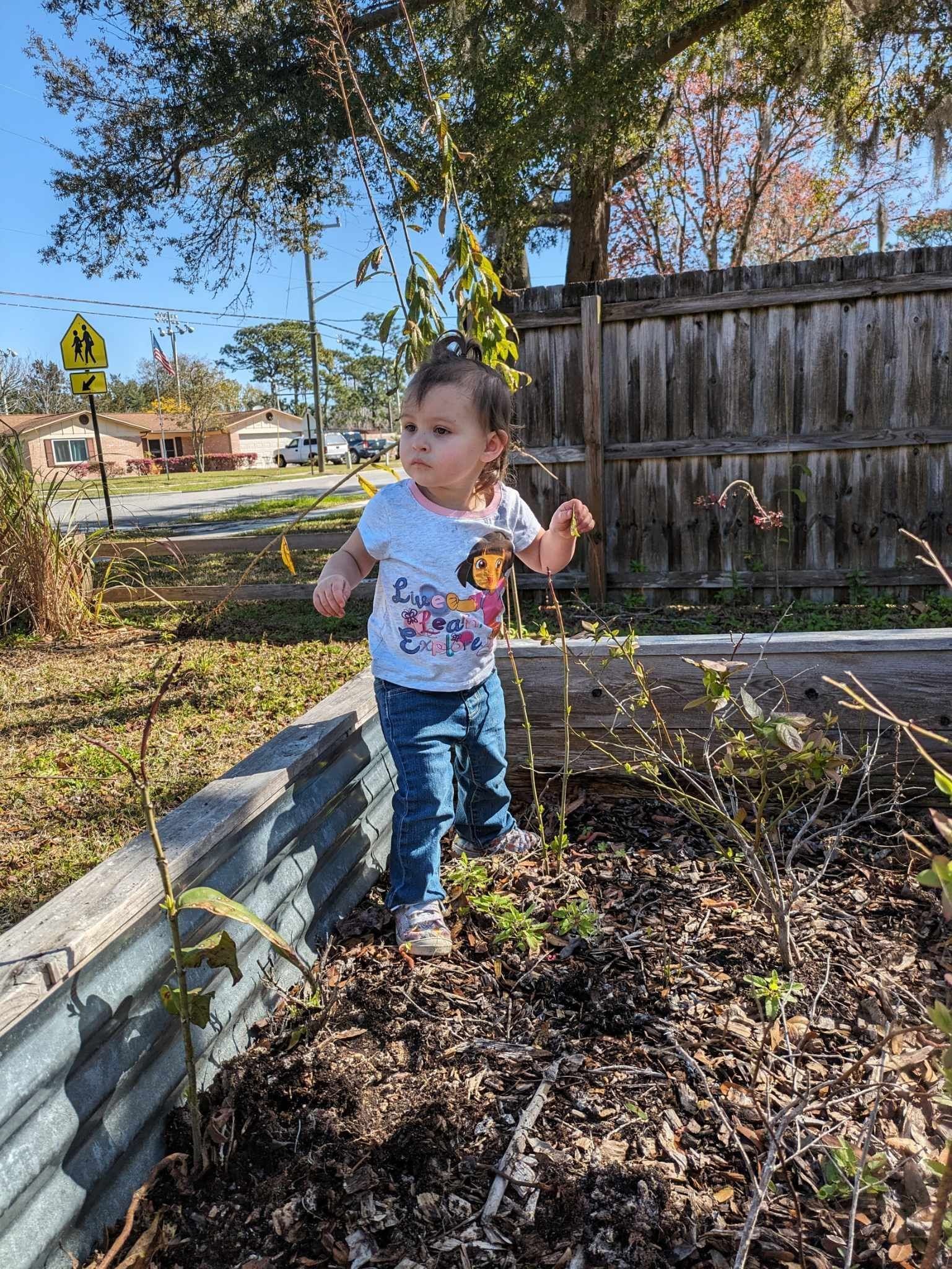 A little girl is standing in a garden next to a wooden fence.