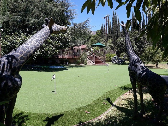 Giraffe statues and fake grass