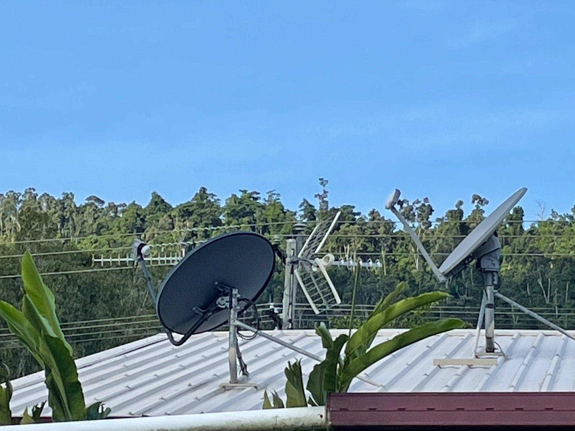 Satellite — Antenna Solution in Springwood, QLD
