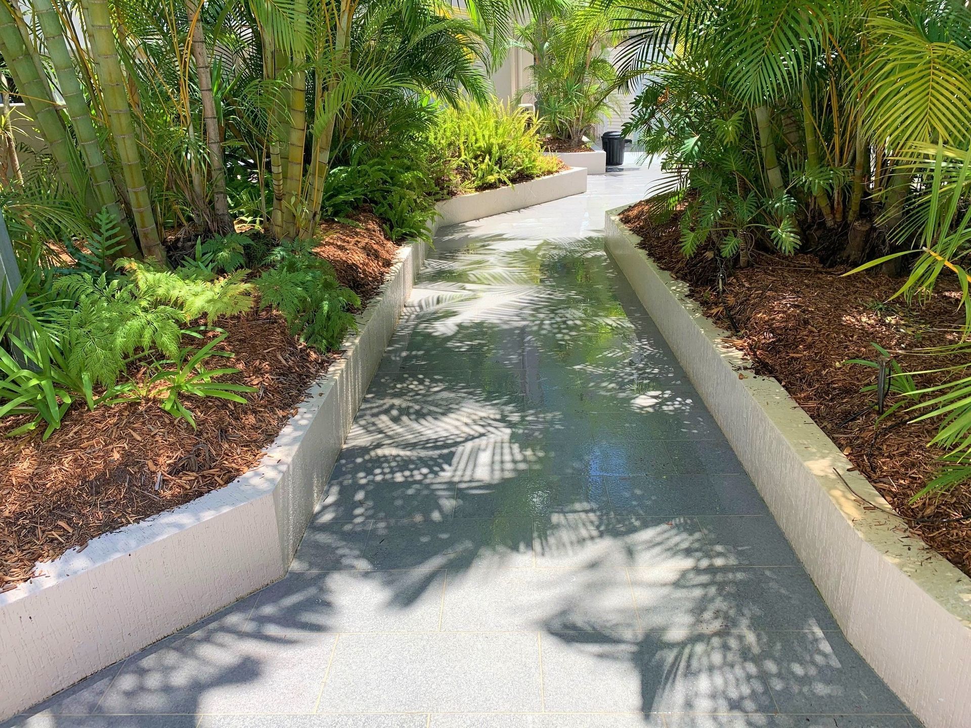 A Walkway Surrounded by Trees and Bushes in A Park — Hard Surface Cleaners in Sydney, NSW