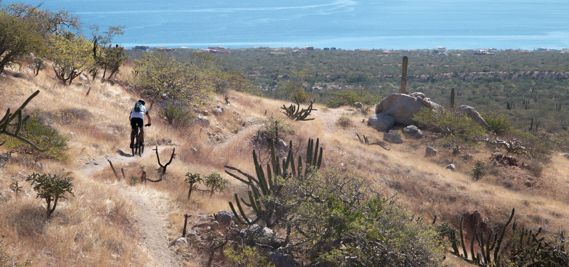 Mountain biker riding on a dirt trail, overlooking a landscape with ocean in the background.
