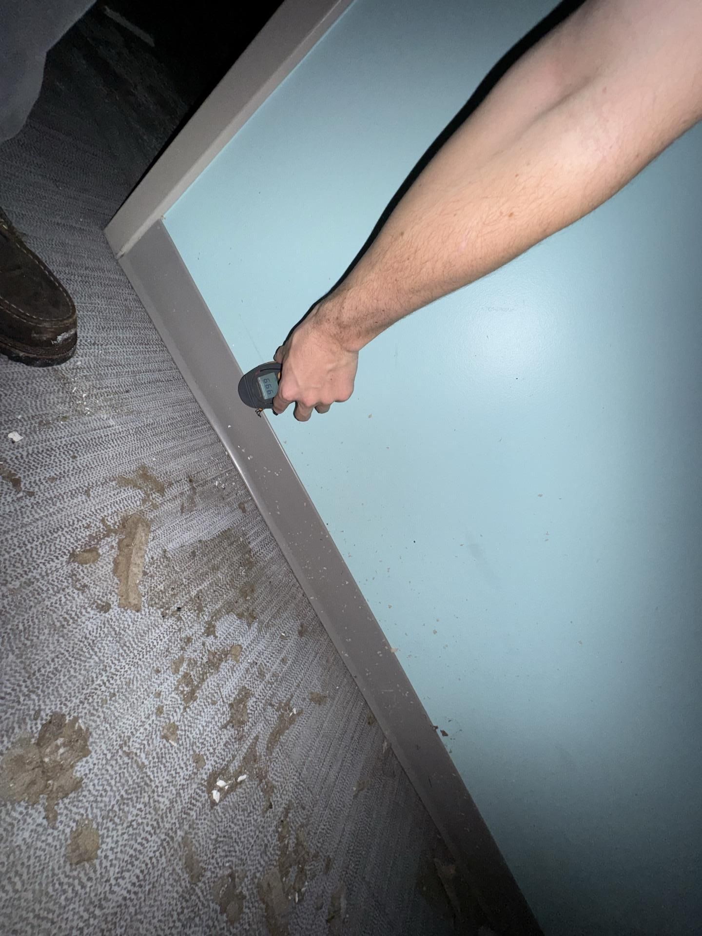 A person using a handheld moisture meter on a light blue wall above a soiled, gray carpeted floor.