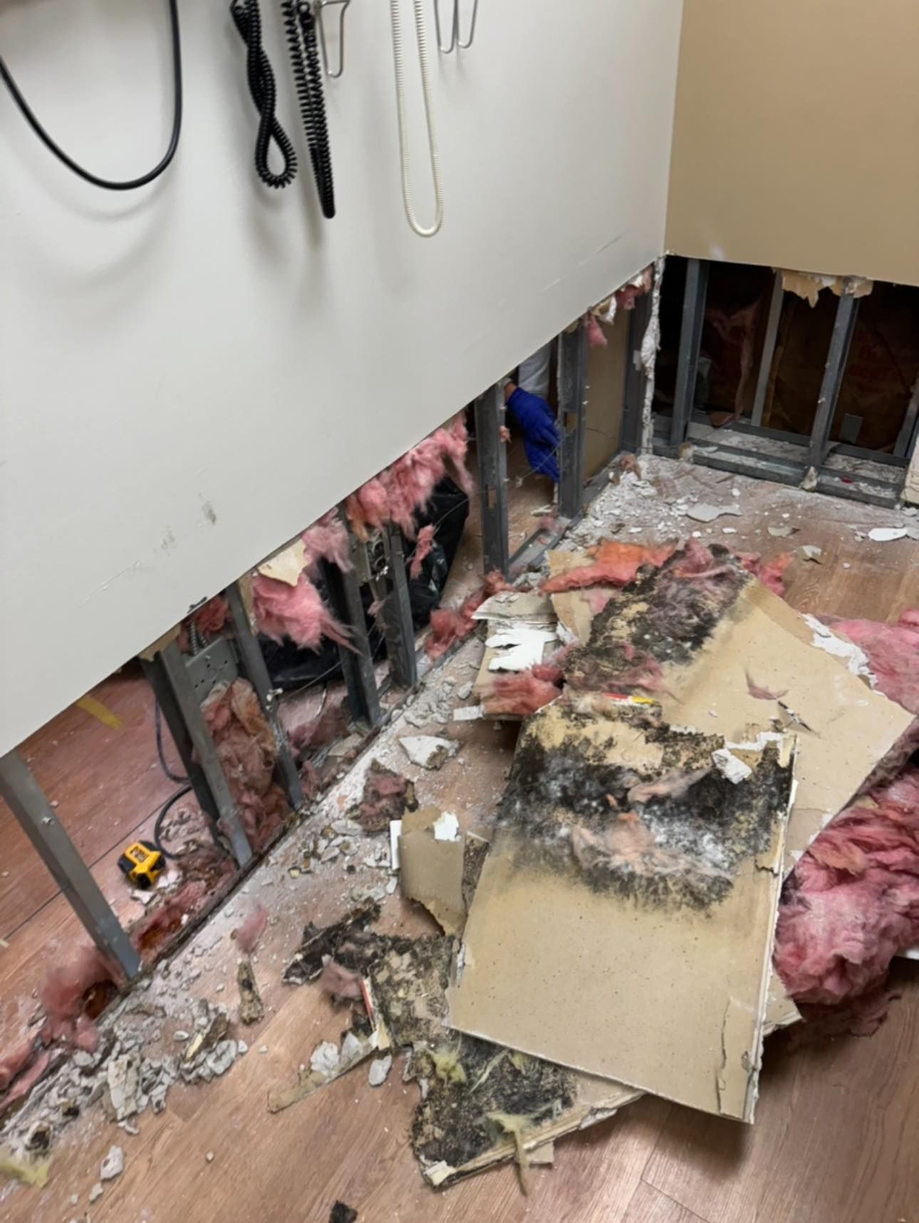 A large hole in a wall reveals exposed metal studs, pink insulation, and drywall covered in extensive dark mold.
