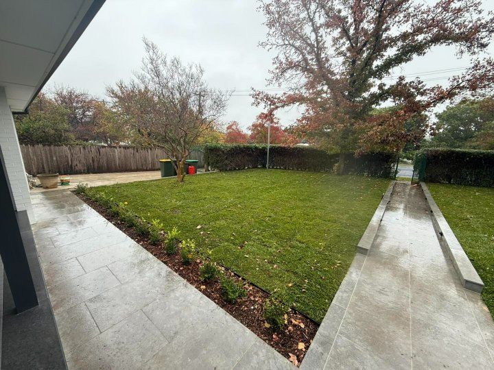 A rainy day in a front yard; green lawn, stone path, trimmed hedges, and a mature tree — Darlington Landscaping in Dubbo, NSW