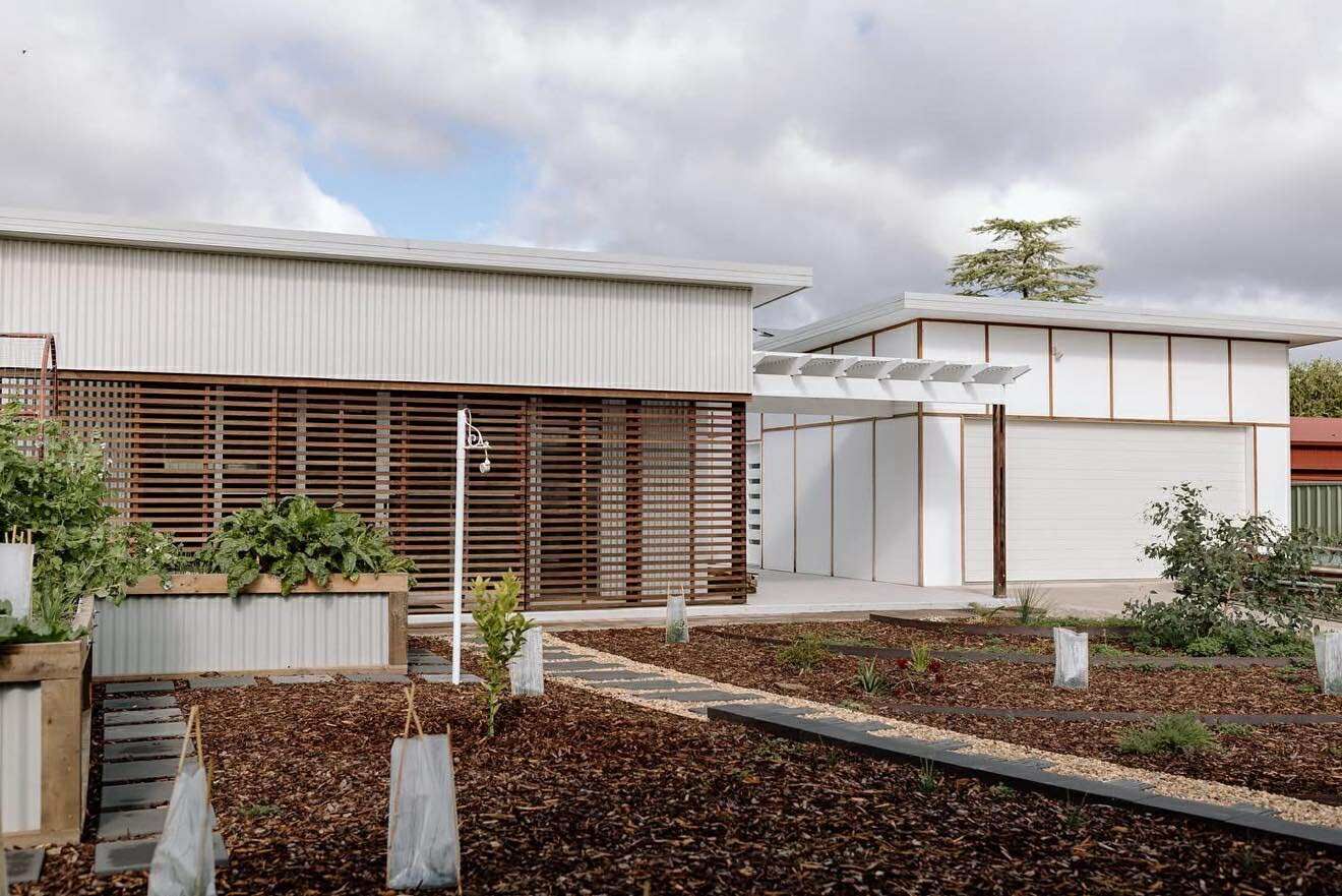 Brick path leads to a wooden deck with a potted plant, bordered by greenery and fruit trees — Darlington Landscaping in Warren, NSW