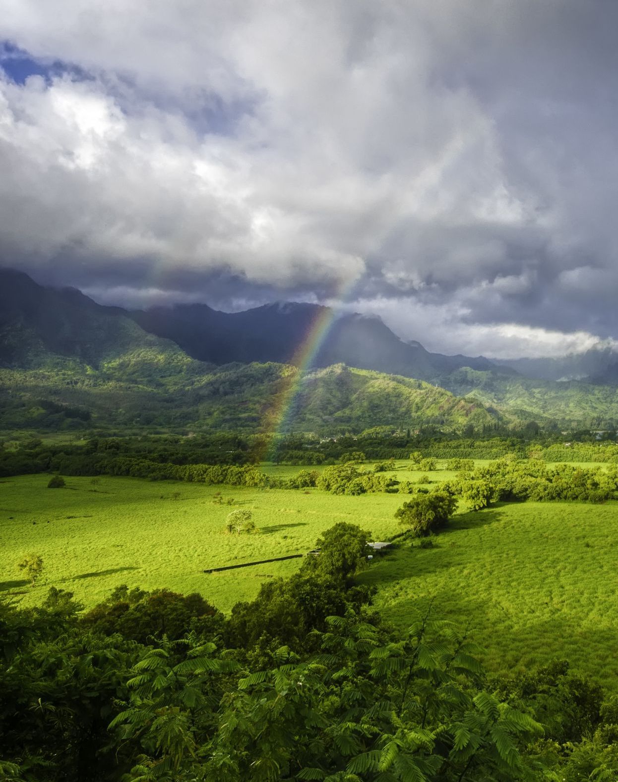 Cloud Communications