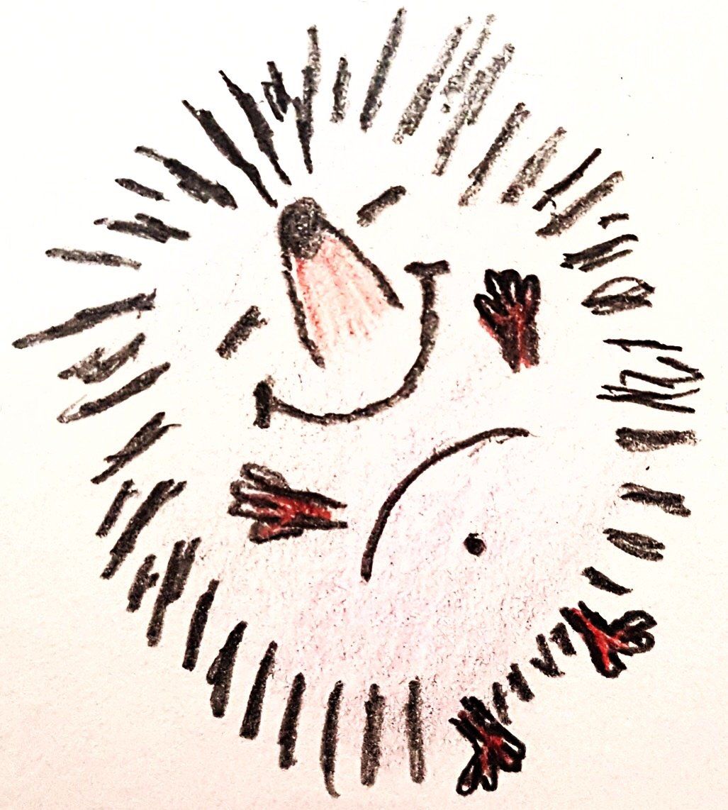 Hedgehog Craft Company logo