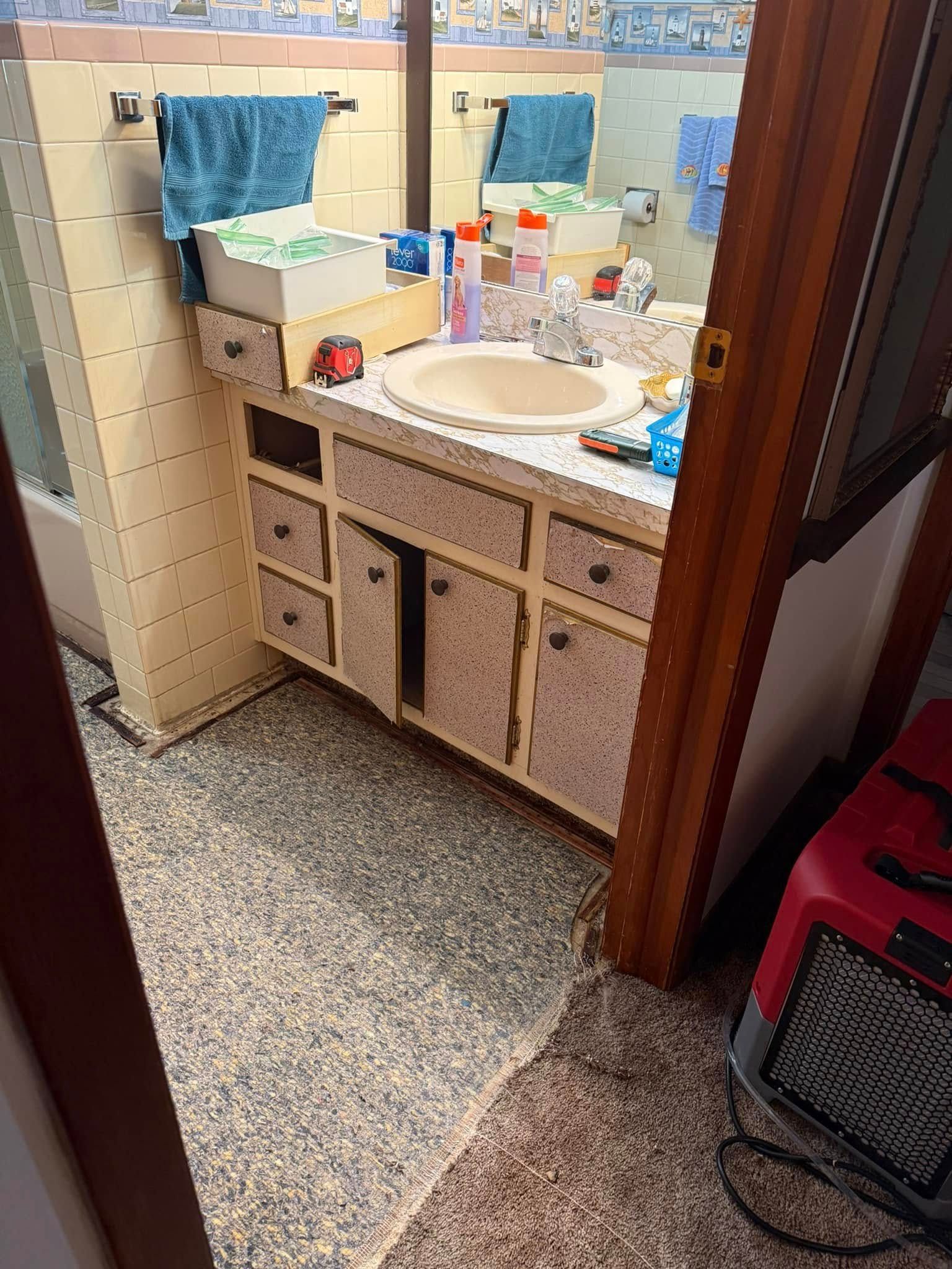 Bathroom with double sinks, light-colored cabinets, blue towels, and a space heater on the floor.