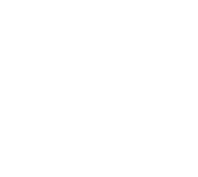Special Offer icon