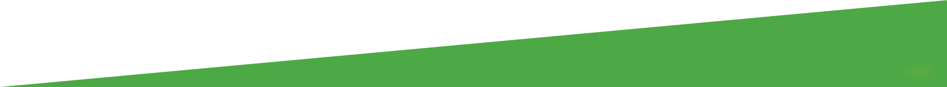 A close up of a green leaf on a white background.