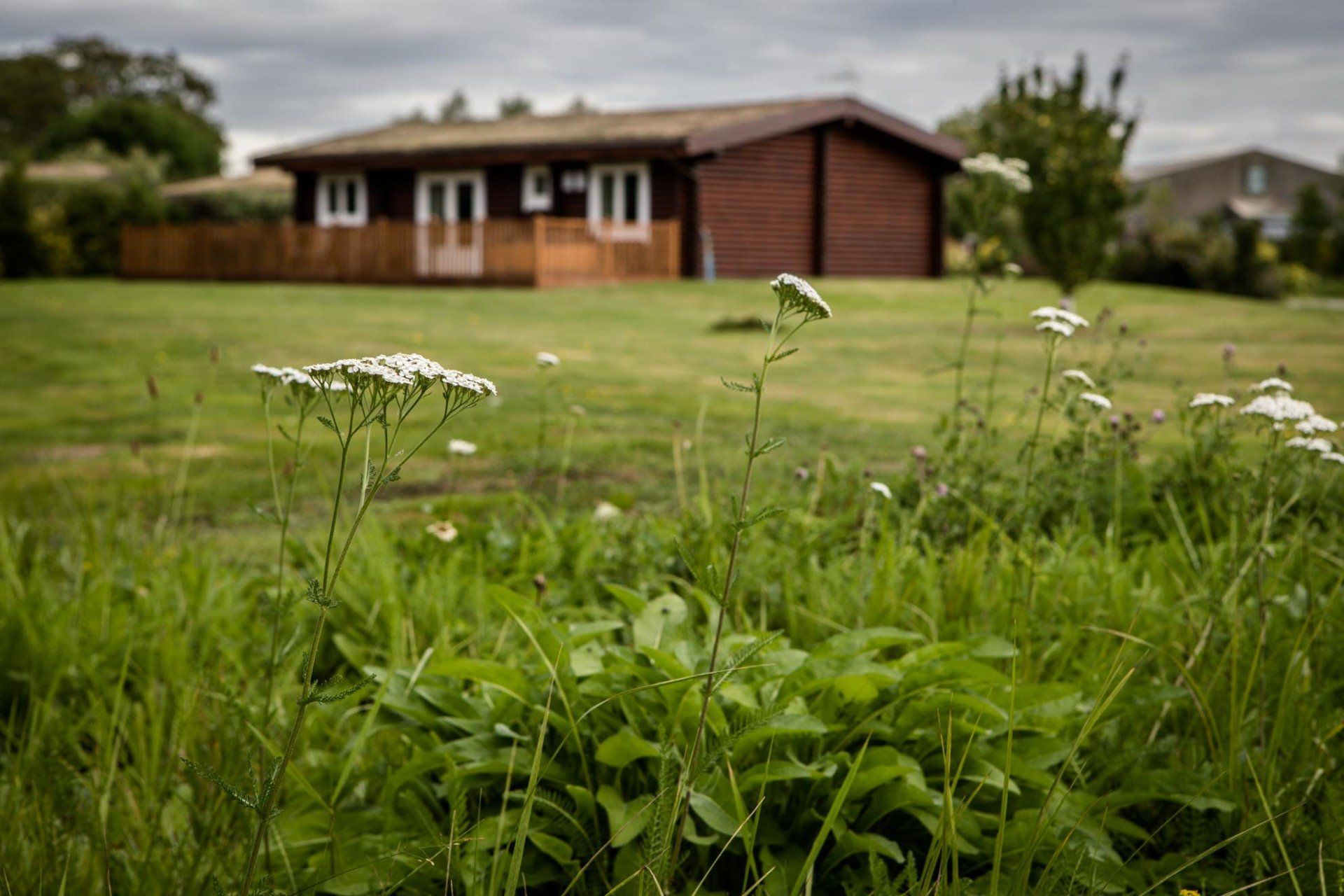 A house is sitting in the middle of a lush green field with flowers in the foreground.