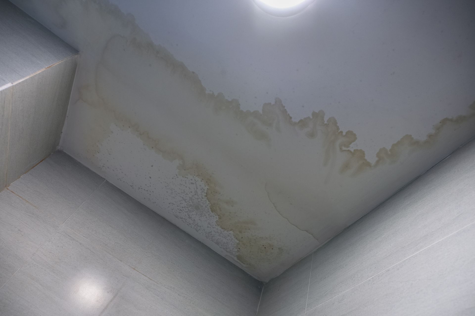 A large, tan-colored water stain spreads across a white ceiling in the corner of a room with light-colored tile walls.
