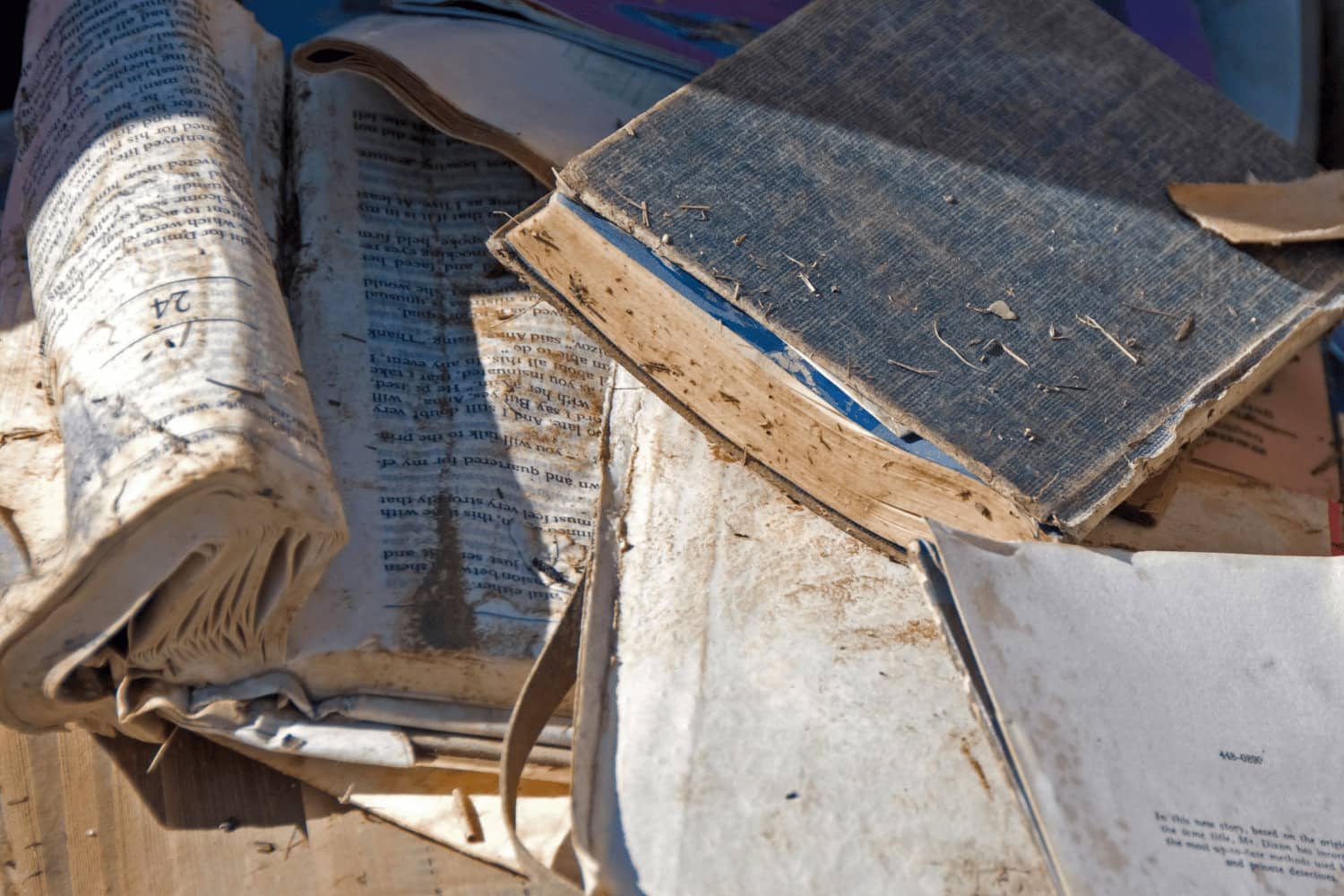 Content Cleaning Company