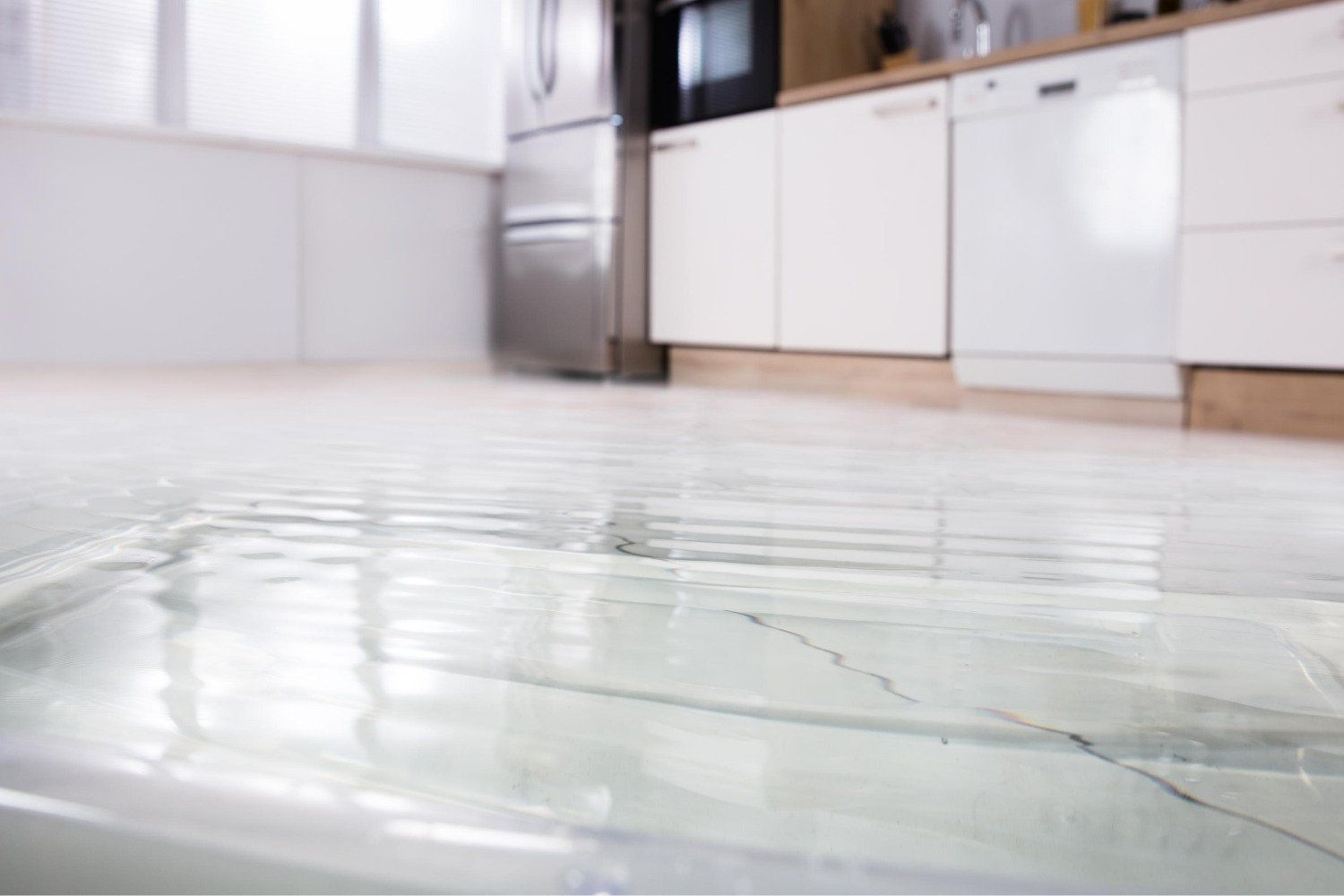 Flood Damage Restoration Contractor