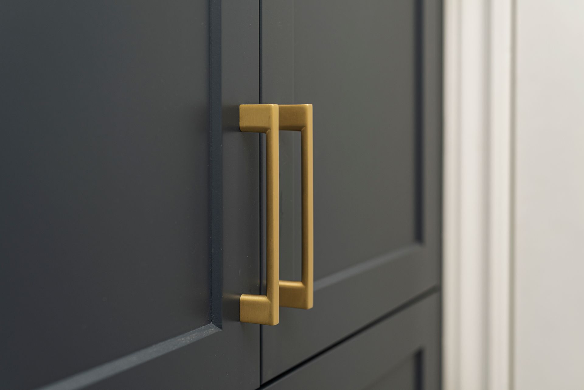 A close up of a cabinet door with a gold handle.