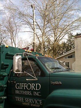 Gifford Services Car - Residential Tree Service in Telford, Pennsylvania