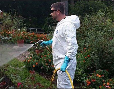 Watering plants — Residential Tree Service in Telford, PE Watering plants — Residential Tree Service in Telford, PE