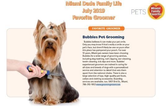 Miami Dade Family Life July 2019 Favorite Family Pet Groomer Award