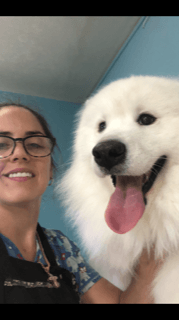 Female Groomer with White Dog — Miami, FL — Bubbles Pet Grooming