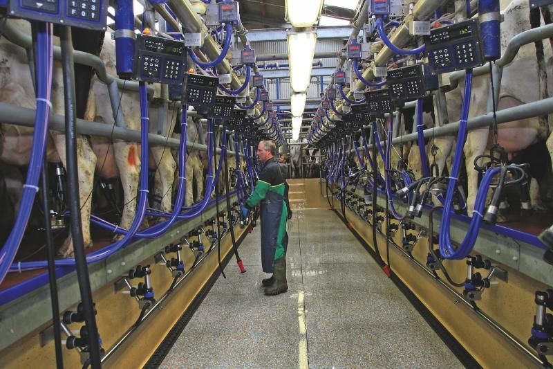 Empty Abandoned Barn With Cow Cubicles — Milking & Farming Equipment on the Mid North Coast, NSW