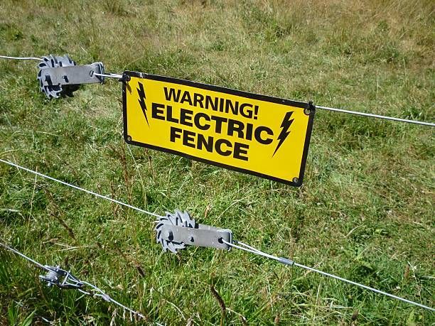 A Metal Fence Stands tall, Providing a Sturdy Barrier - Buy Rural Fencing on the Mid North Coast, NSW