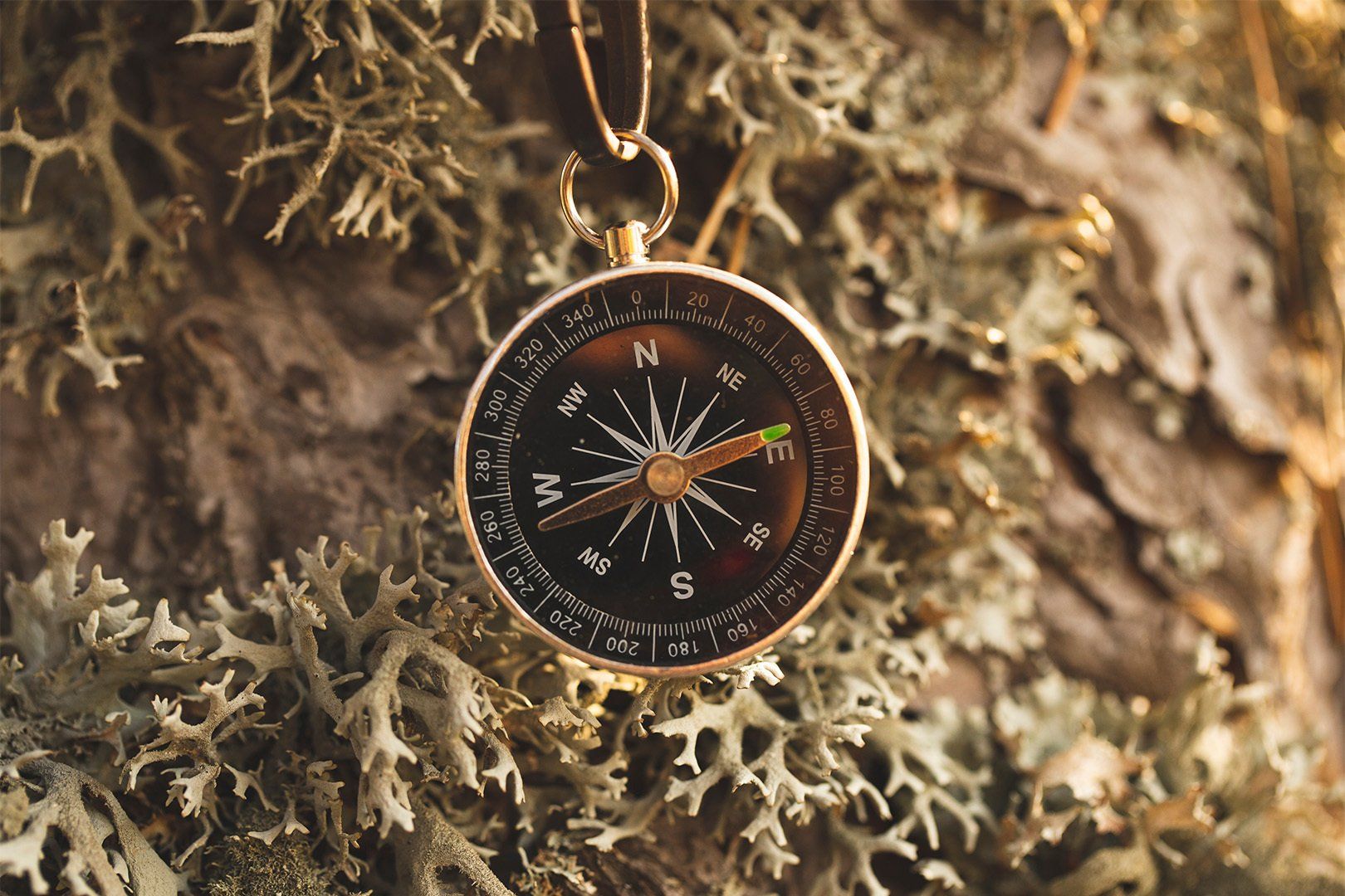 compass and bushcraft equipment in nature