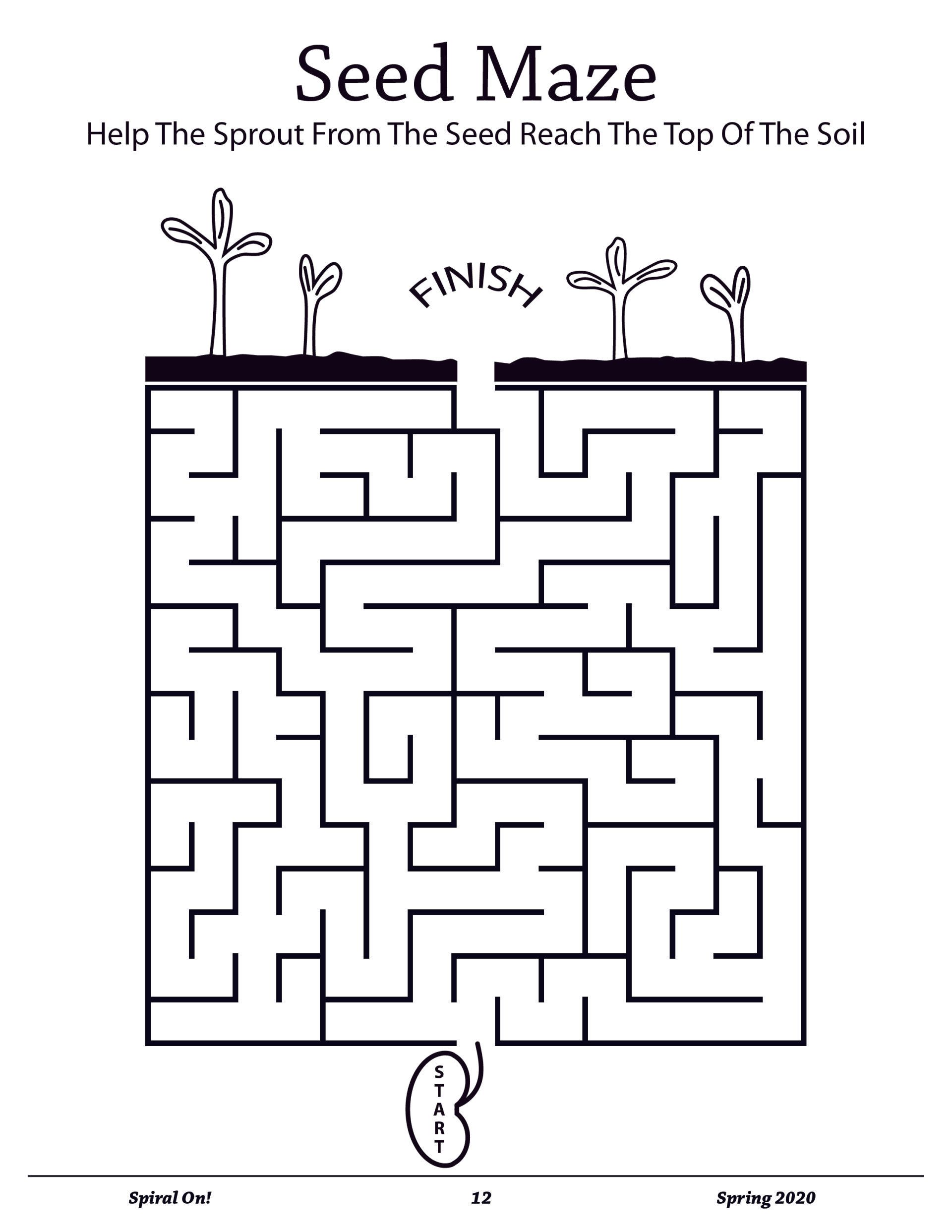 A black and white maze with seeds growing out of it, Spring 2020 magazine.