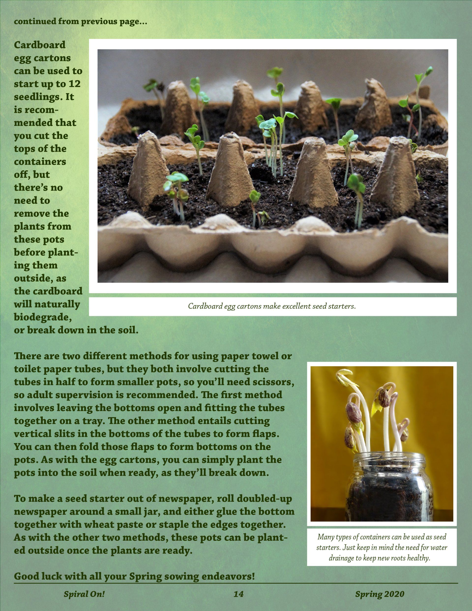 A page of a book with a picture of a plant growing out of an egg carton, Spring 2020 magazine.