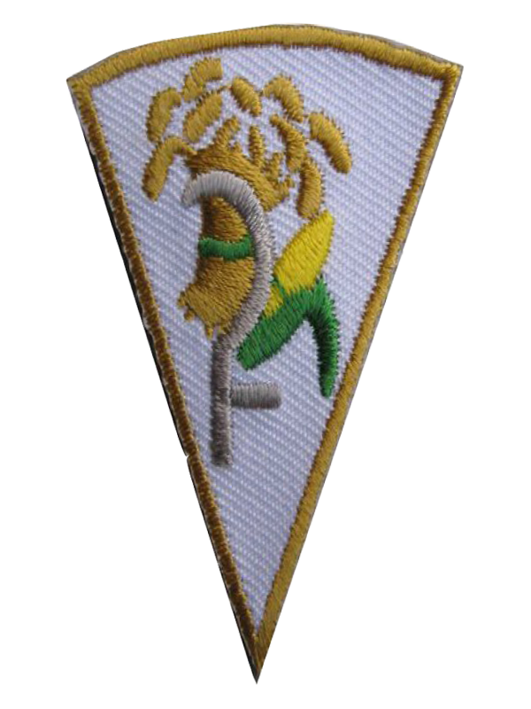 A triangle shaped patch with a cross and corn on it award.