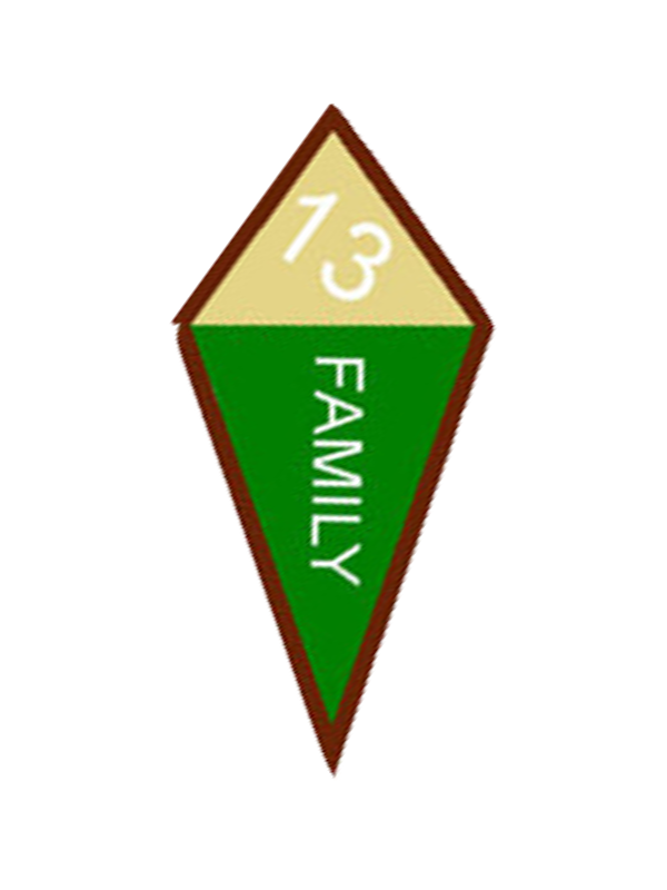 A triangle with the word family on it award.