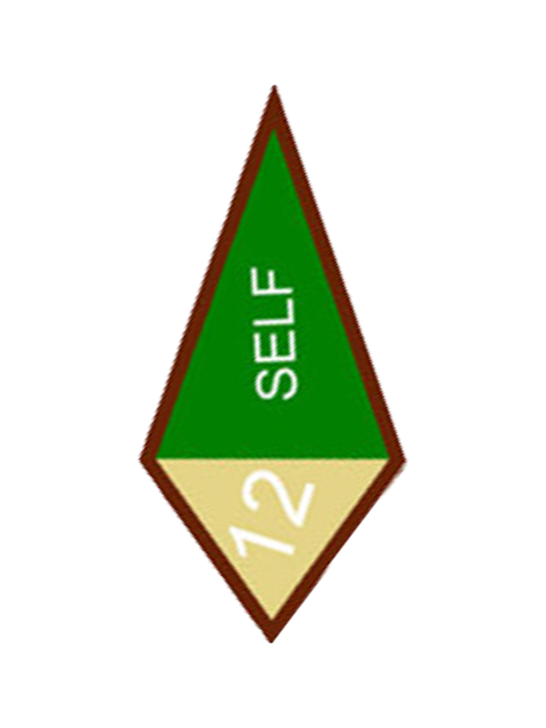 A green triangle with the word self on it award.