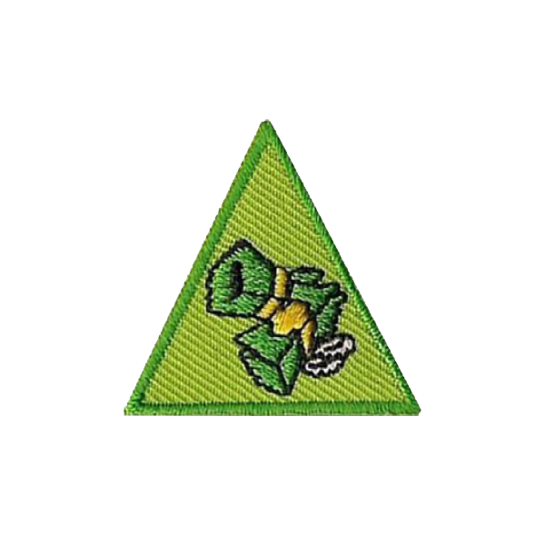 A green triangle with a picture of a frog on it badge.