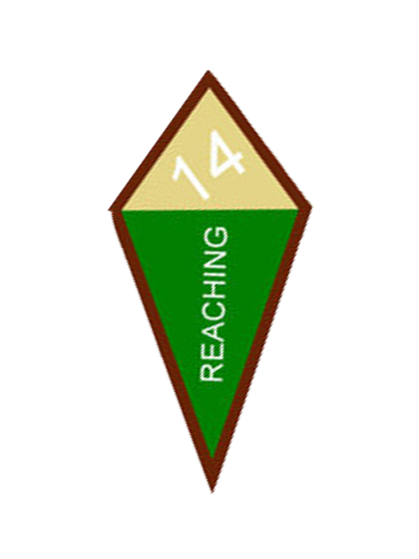 A green and tan triangle with the word reaching on it award.