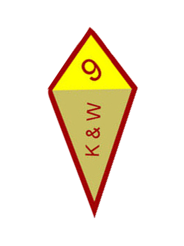 A yellow and red diamond with the number 9 on it award.