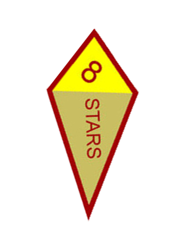 A kite with the number 8 on it award.