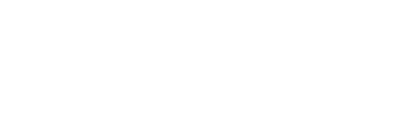 Safe Hands Insurance Solutions
