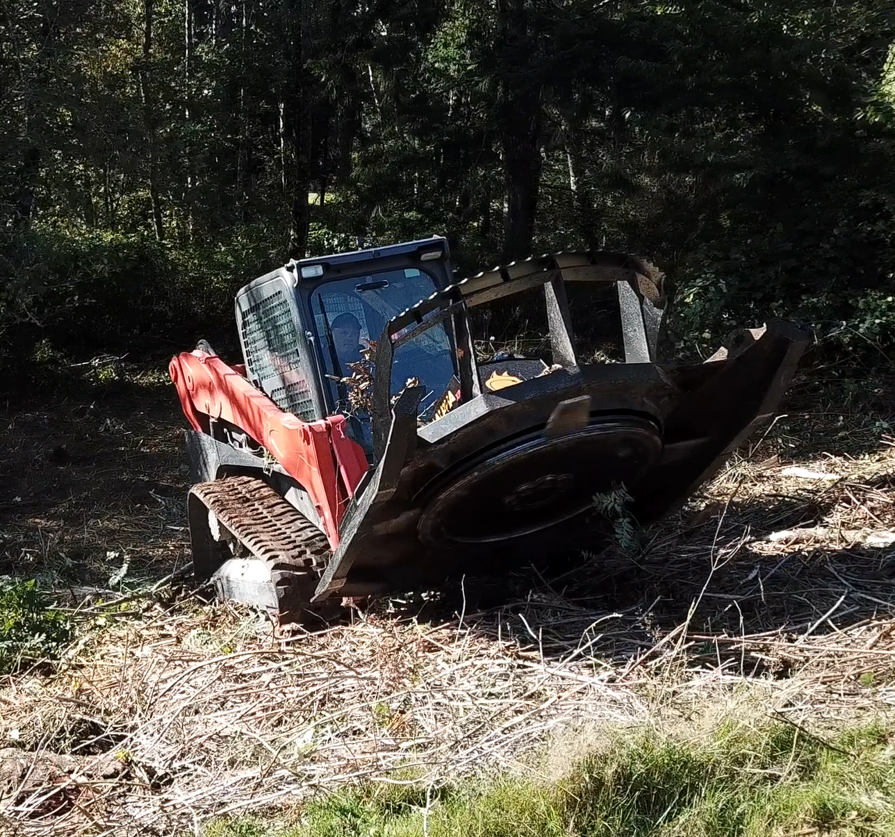 Brush Wolf Alpha skid steer brush cutter front view clearing heavy brush and saplings in wooded terrain