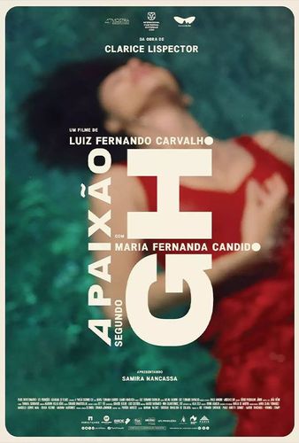 A movie poster for a movie called a paixao