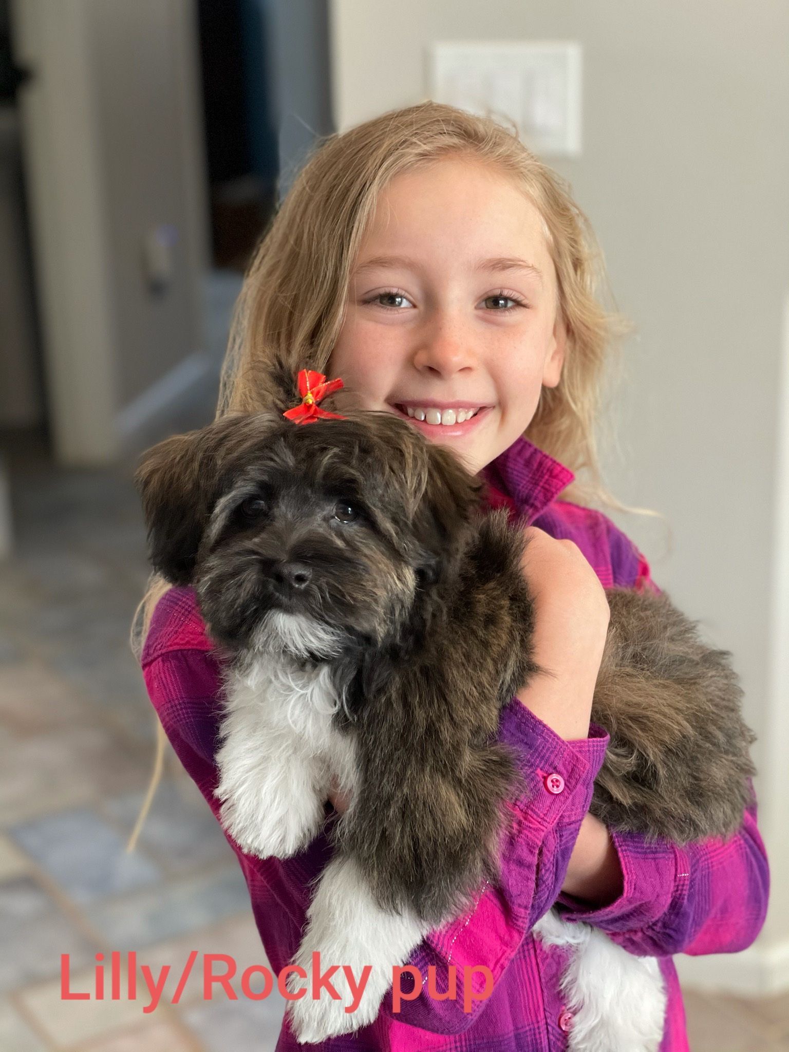 A little girl is holding a puppy in her arms.